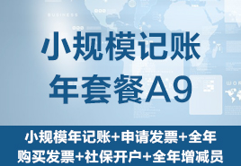 小規(guī)模記賬年套餐A9